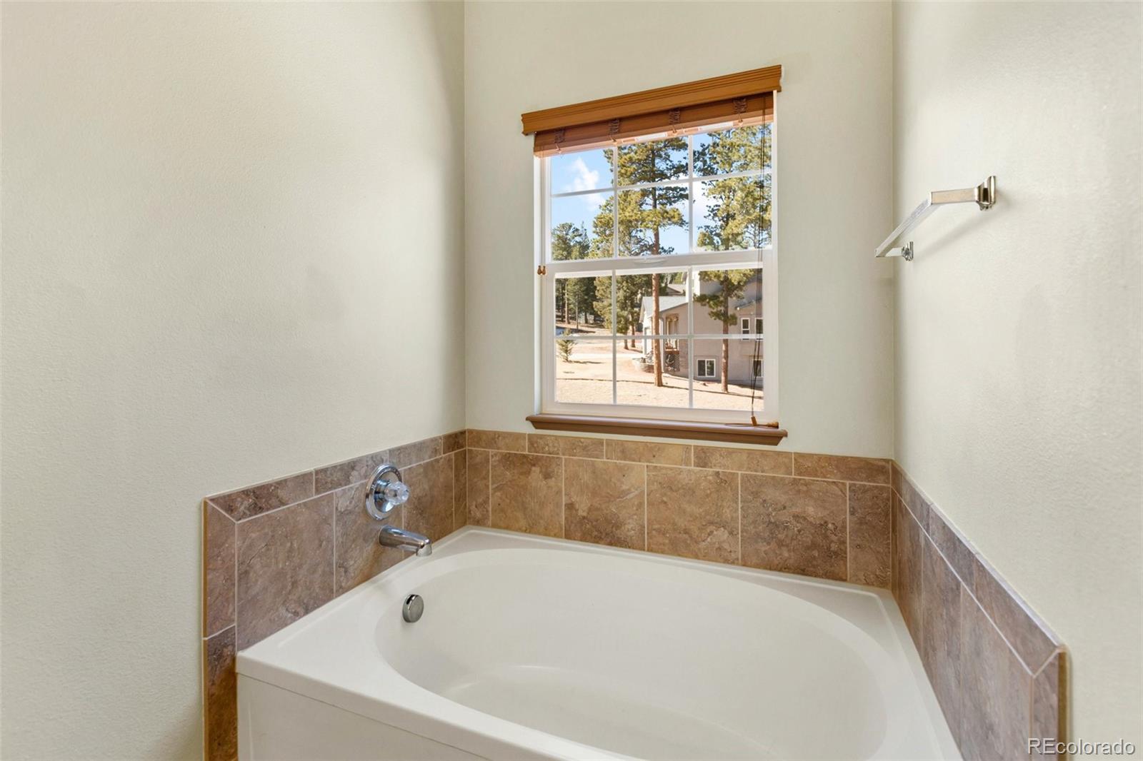 MLS Image #18 for 681  misty pines circle,woodland park, Colorado