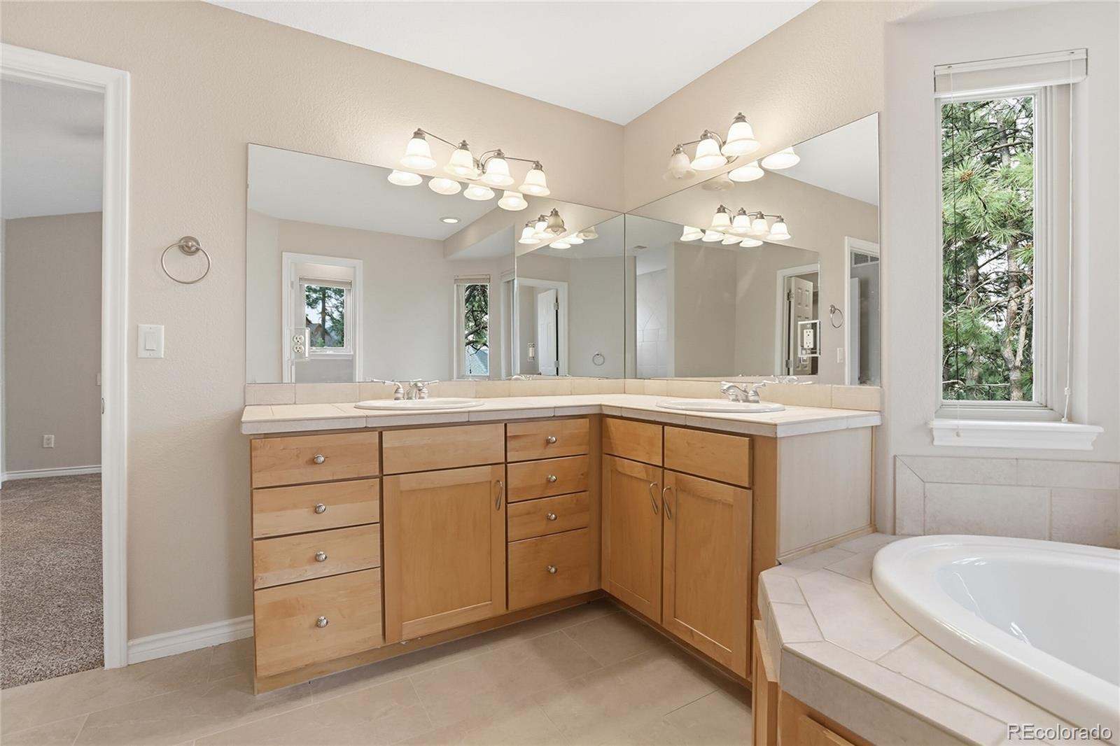 MLS Image #19 for 4163  cheyenne drive,larkspur, Colorado
