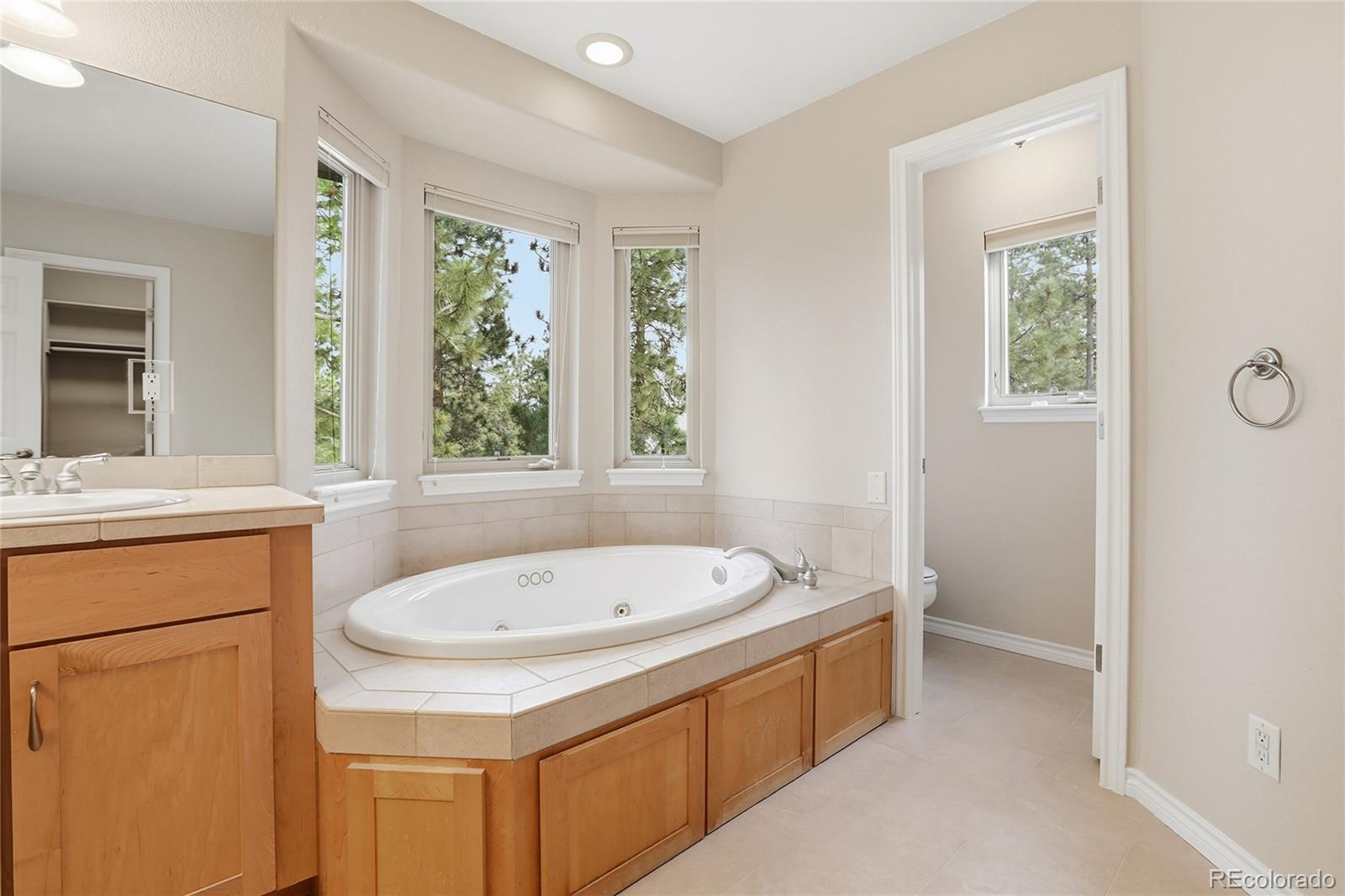 MLS Image #20 for 4163  cheyenne drive,larkspur, Colorado
