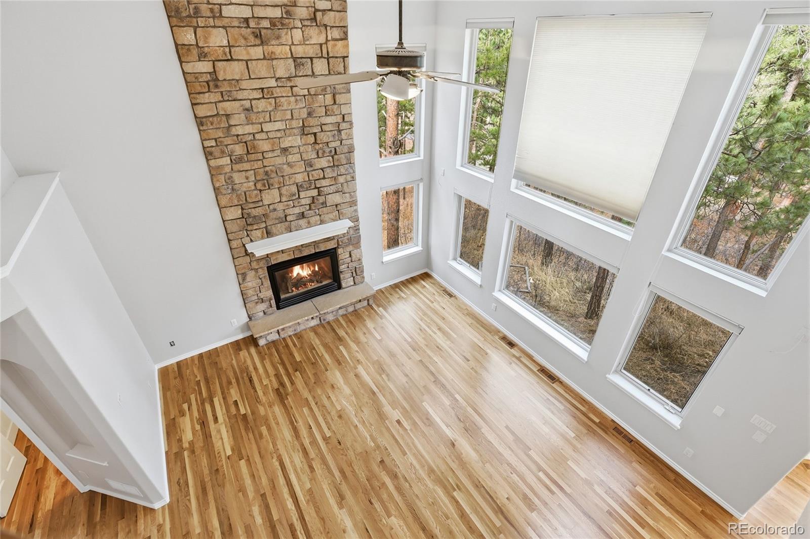 MLS Image #27 for 4163  cheyenne drive,larkspur, Colorado