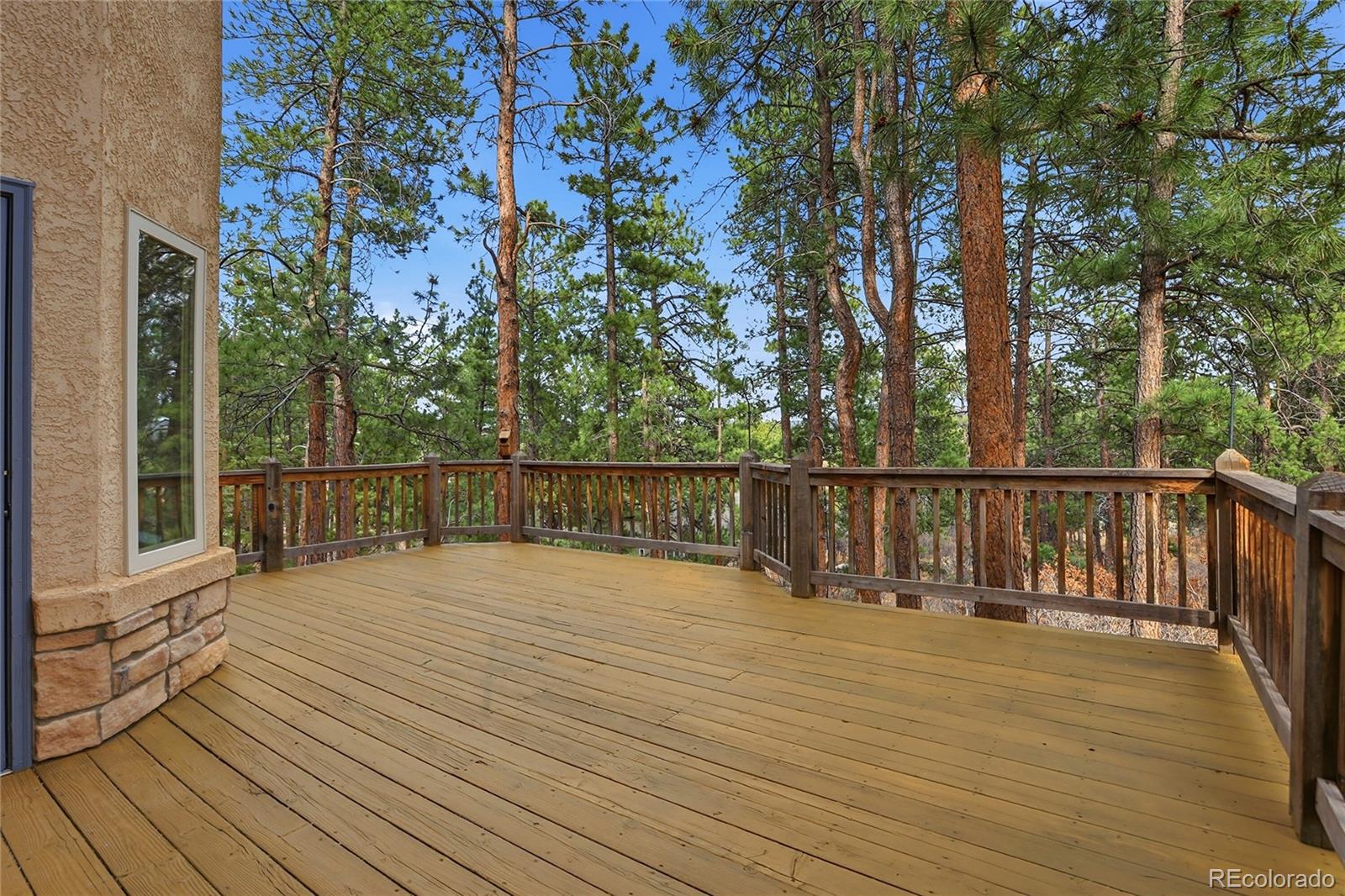 MLS Image #39 for 4163  cheyenne drive,larkspur, Colorado