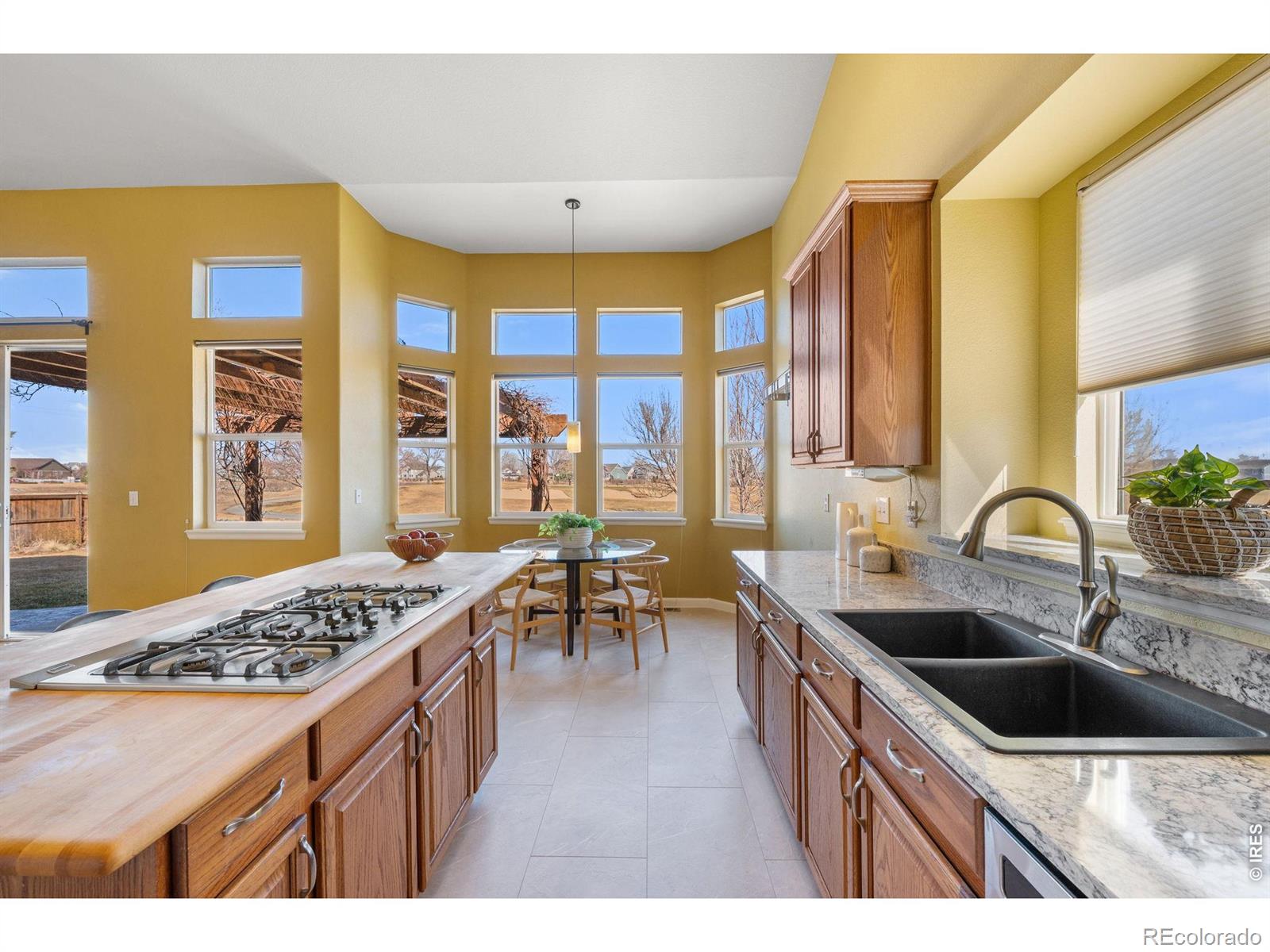 MLS Image #20 for 2020  alpine street,longmont, Colorado