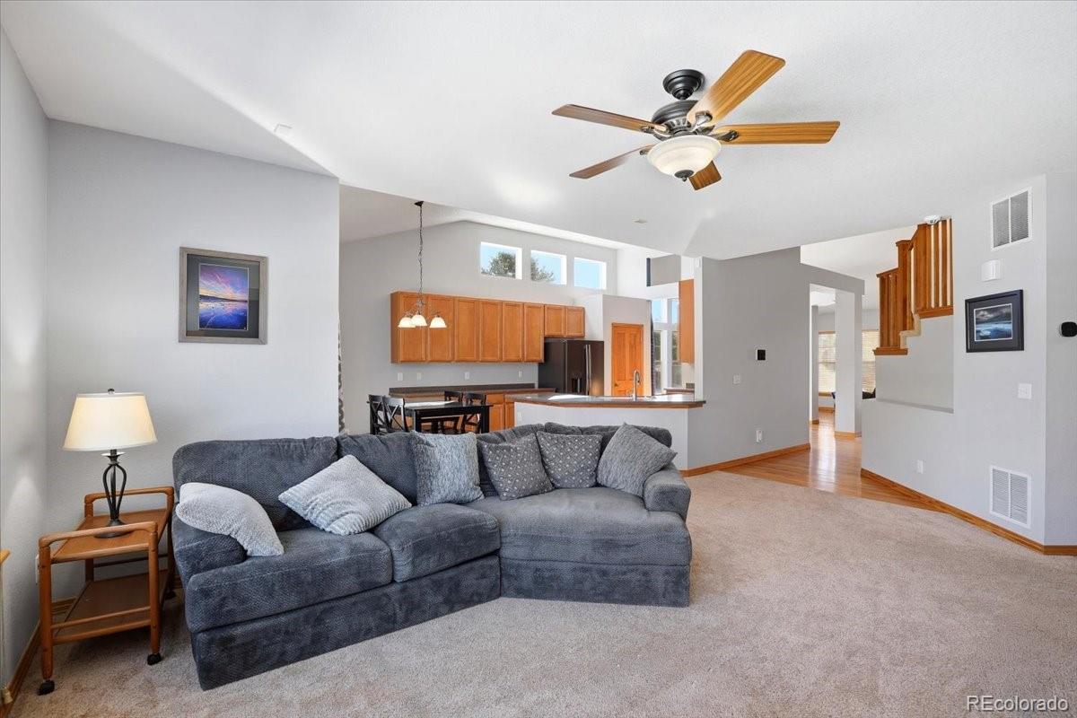 MLS Image #11 for 23077  briar leaf avenue,parker, Colorado