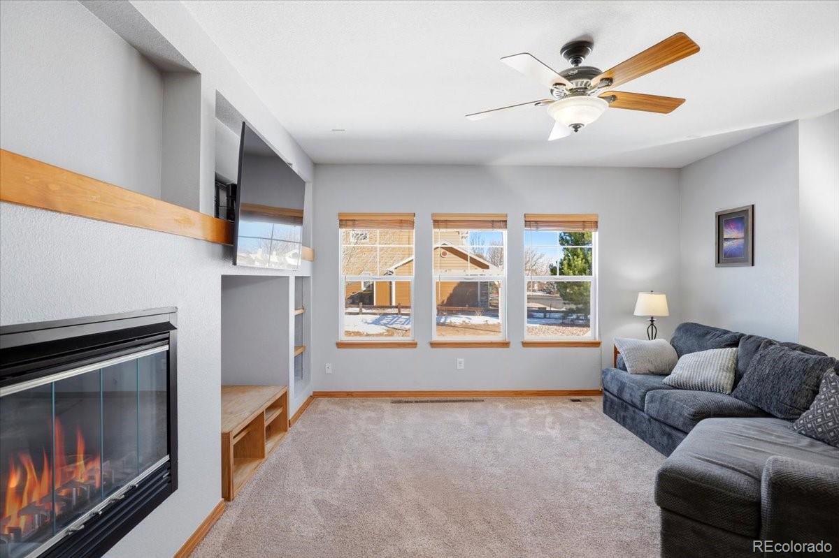 MLS Image #12 for 23077  briar leaf avenue,parker, Colorado