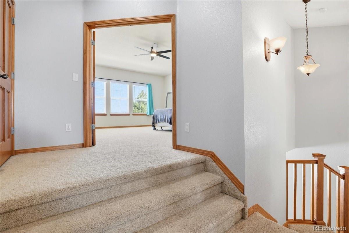 MLS Image #18 for 23077  briar leaf avenue,parker, Colorado