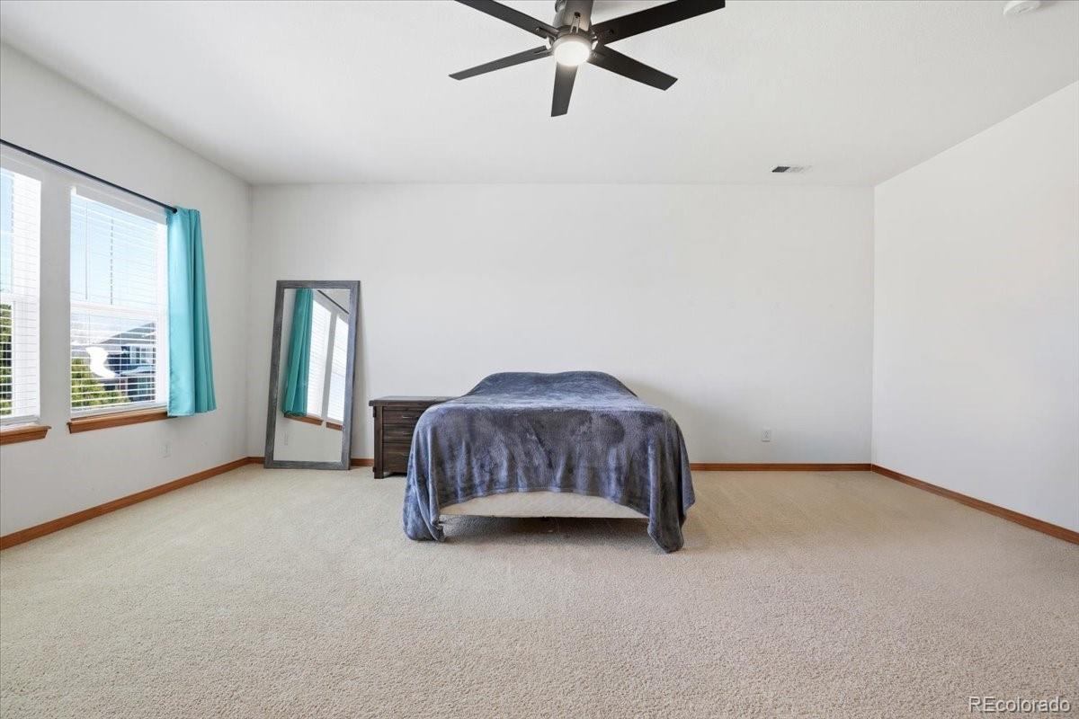 MLS Image #19 for 23077  briar leaf avenue,parker, Colorado