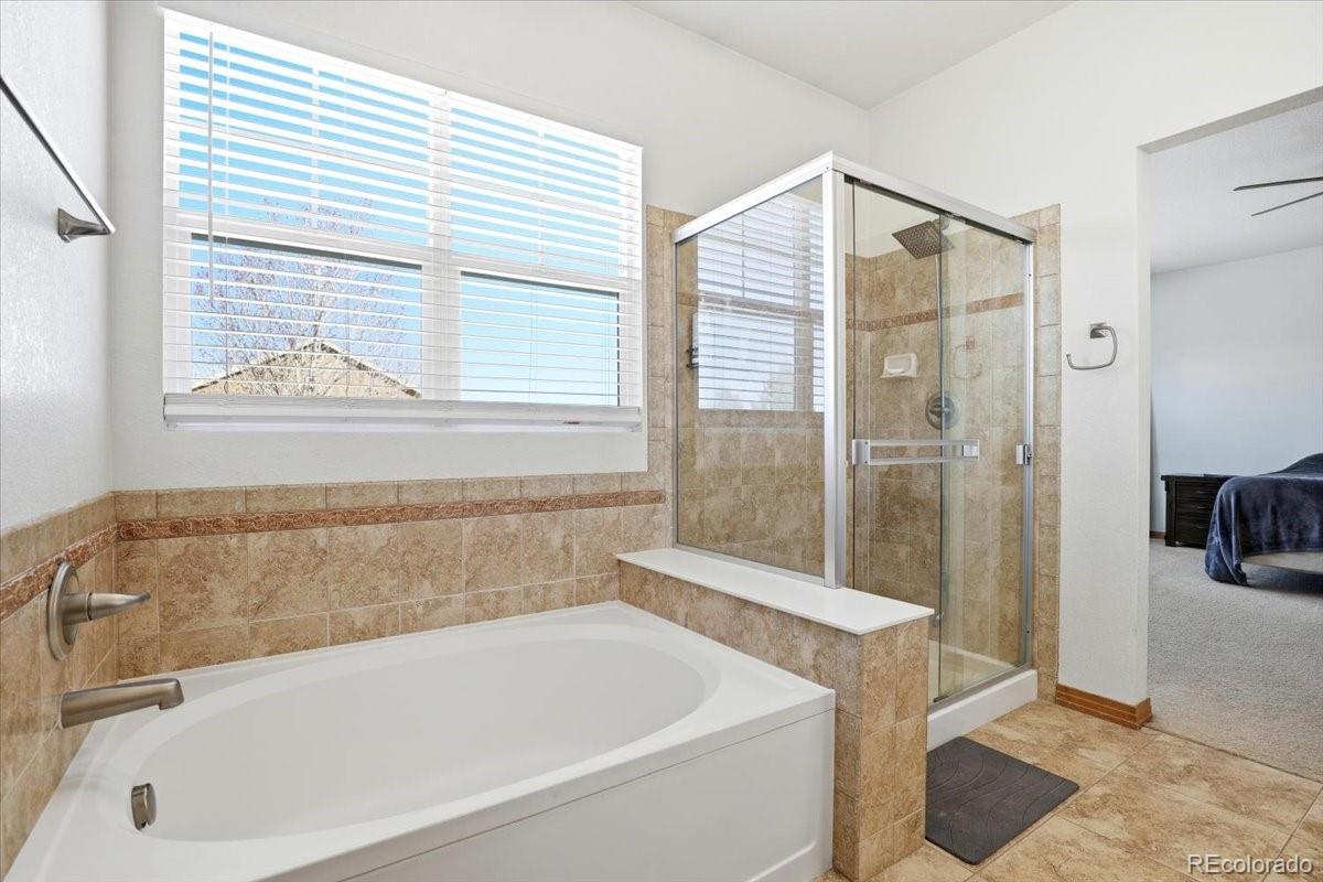 MLS Image #24 for 23077  briar leaf avenue,parker, Colorado