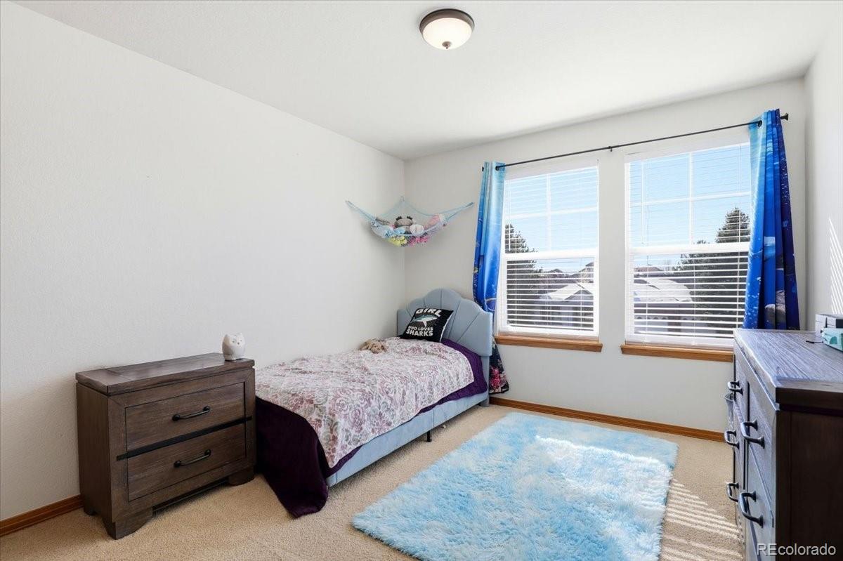 MLS Image #29 for 23077  briar leaf avenue,parker, Colorado