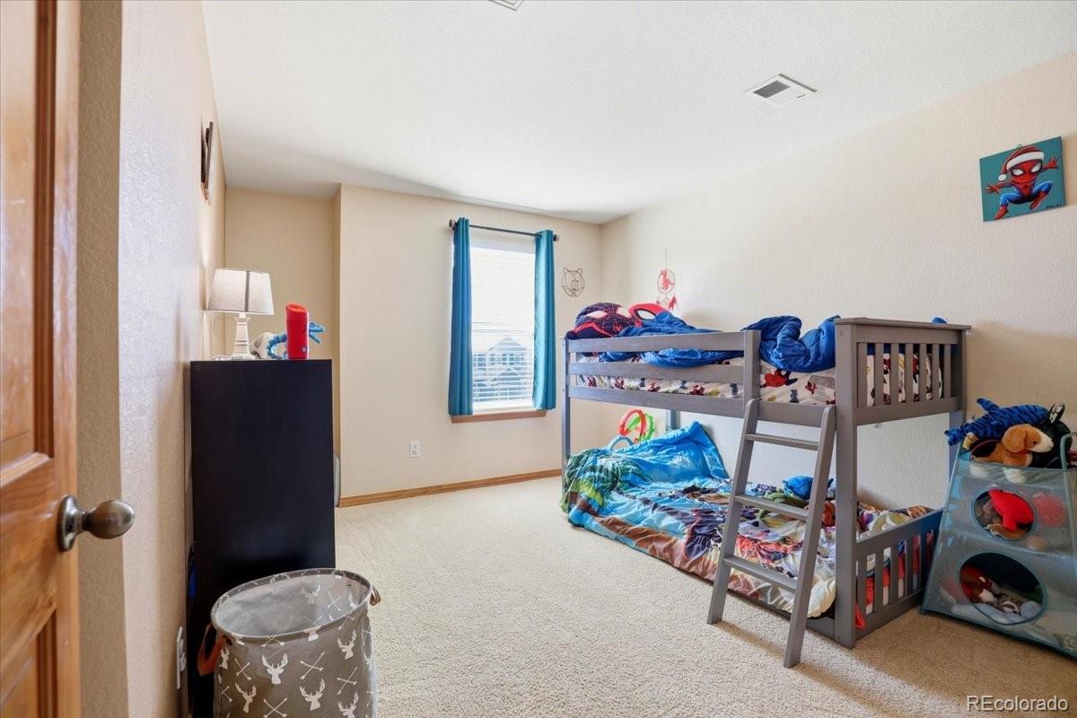 MLS Image #30 for 23077  briar leaf avenue,parker, Colorado