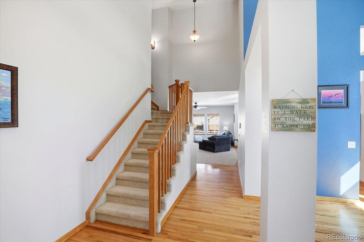 MLS Image #5 for 23077  briar leaf avenue,parker, Colorado