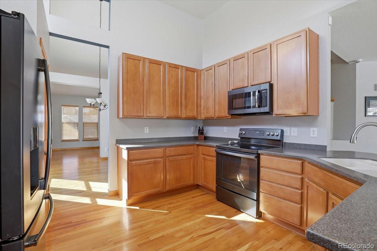 MLS Image #6 for 23077  briar leaf avenue,parker, Colorado
