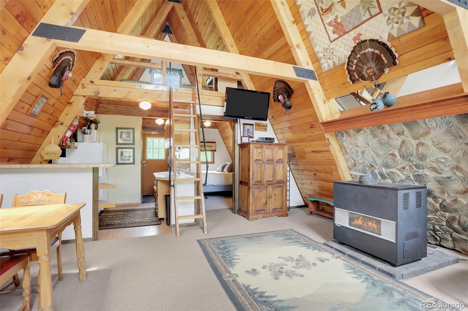 MLS Image #14 for 1121  gcr 2416 ,kremmling, Colorado