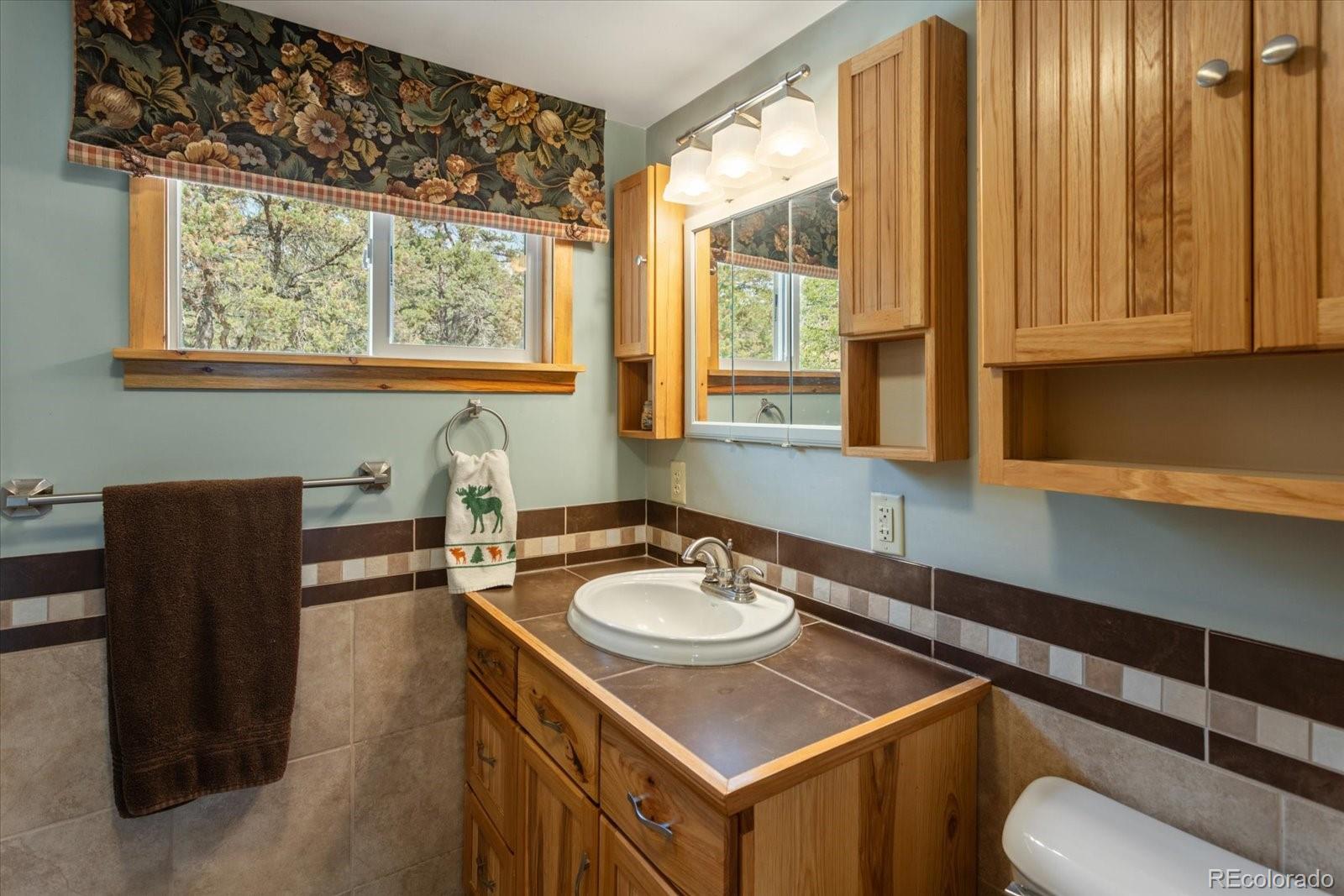 MLS Image #24 for 163  holiday hills boulevard,howard, Colorado
