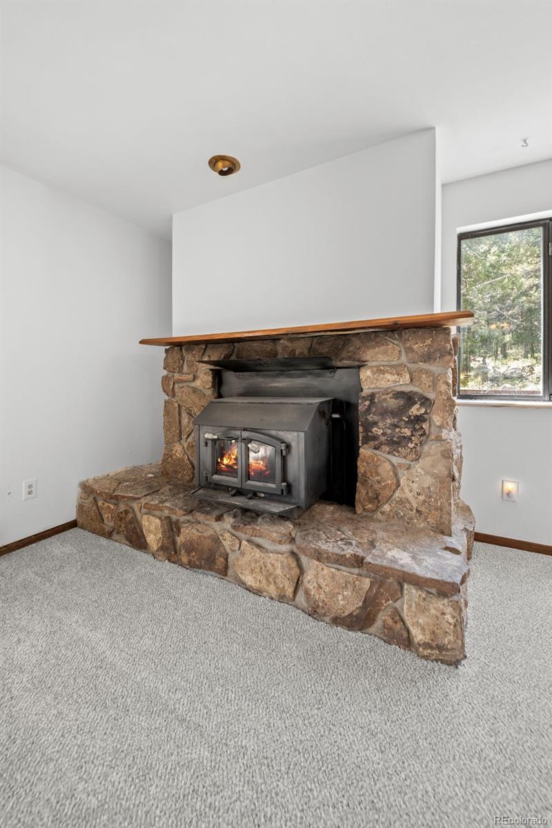 MLS Image #9 for 12115  bear park road,conifer, Colorado