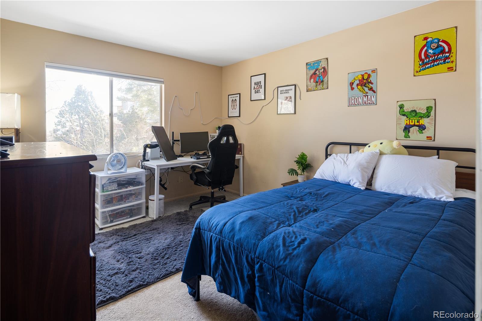 MLS Image #27 for 1234 s wright street,lakewood, Colorado