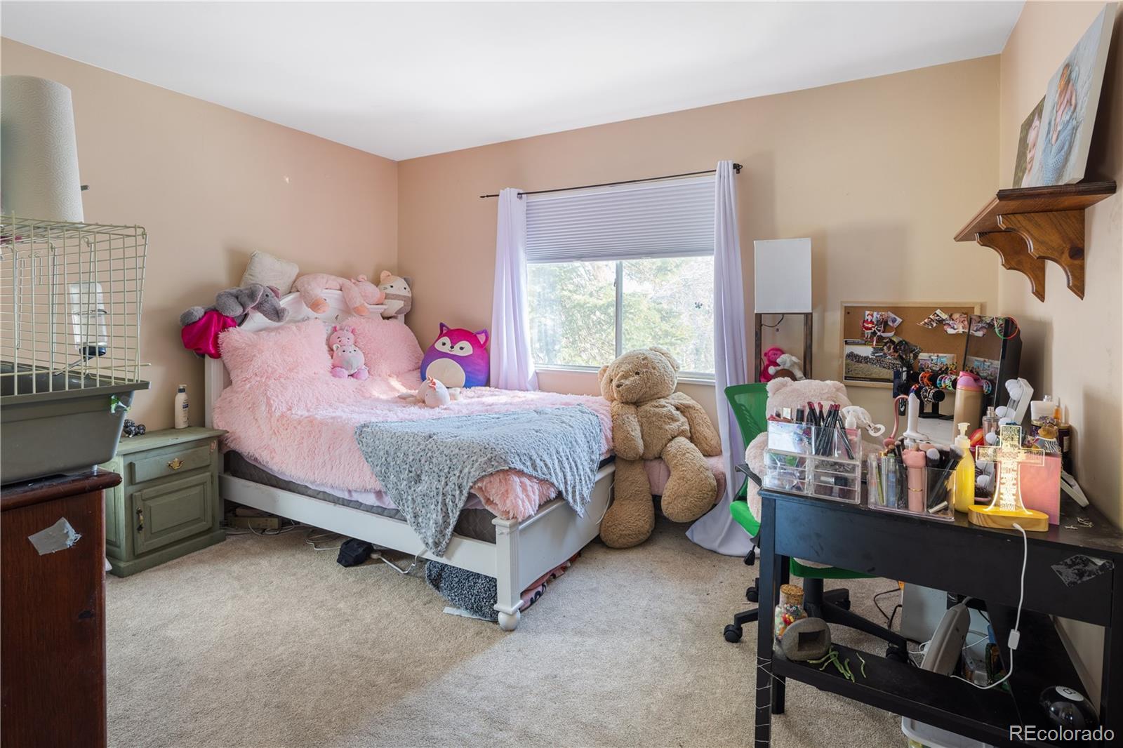 MLS Image #31 for 1234 s wright street,lakewood, Colorado