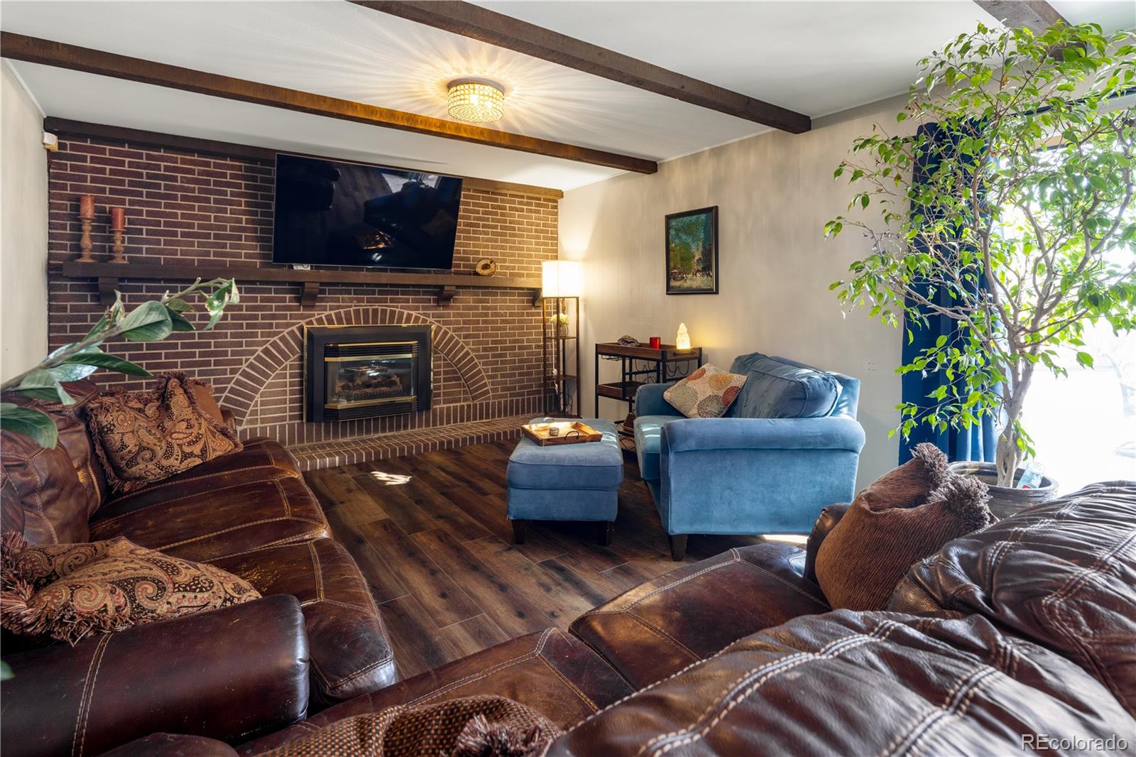 MLS Image #8 for 1234 s wright street,lakewood, Colorado