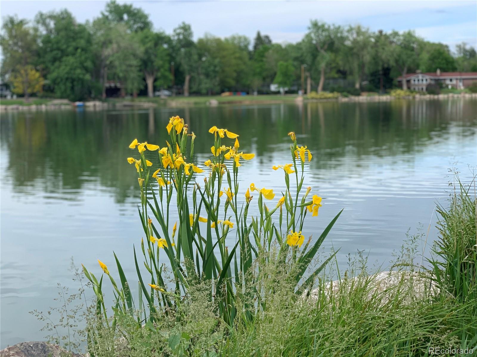 MLS Image #42 for 5005 w lakeridge road,denver, Colorado