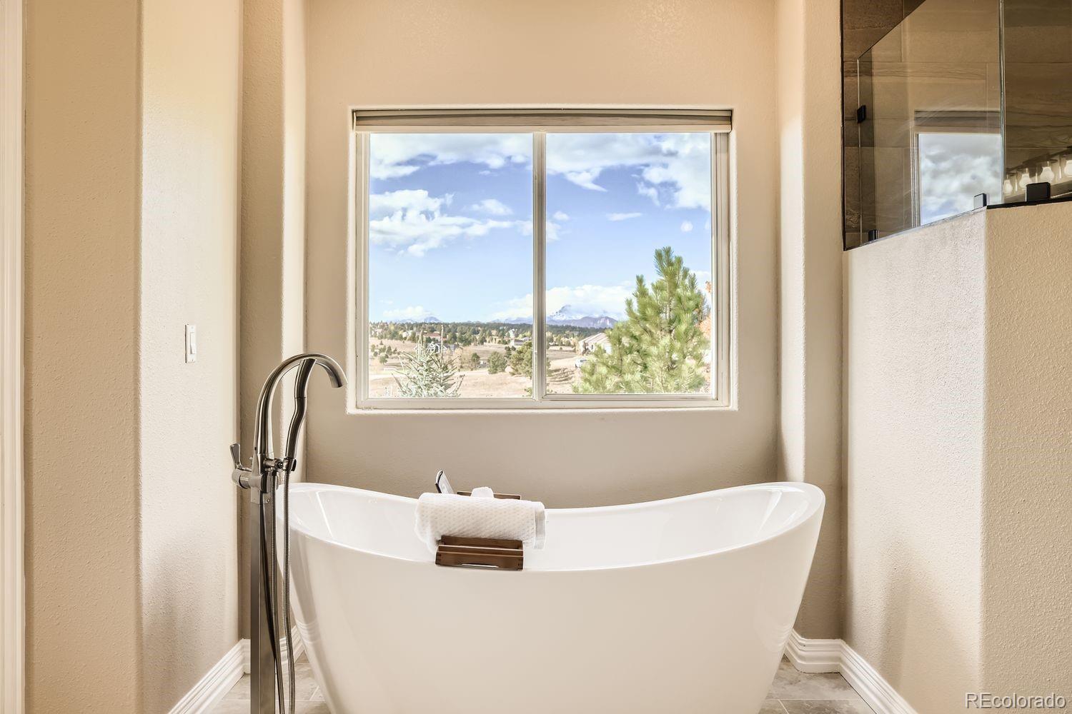 MLS Image #28 for 1348  chapel royal court,monument, Colorado