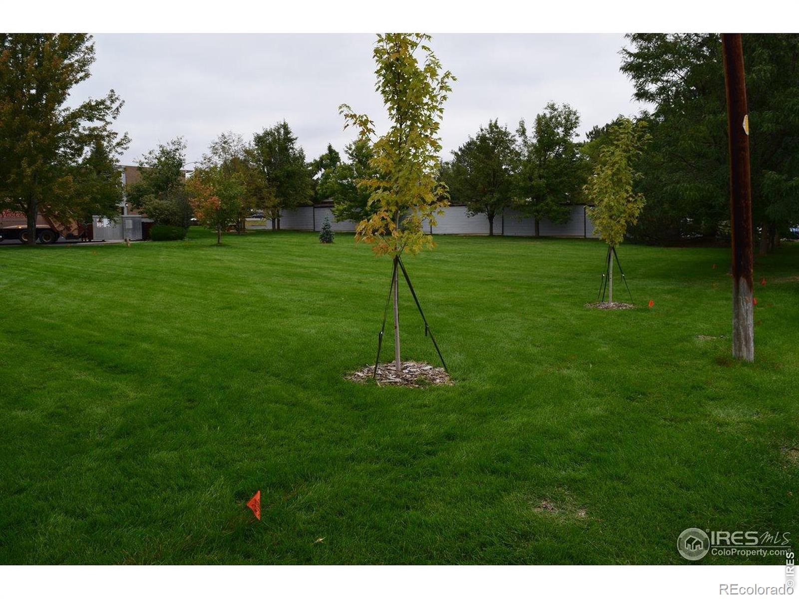 MLS Image #19 for 1611  garfield avenue,louisville, Colorado