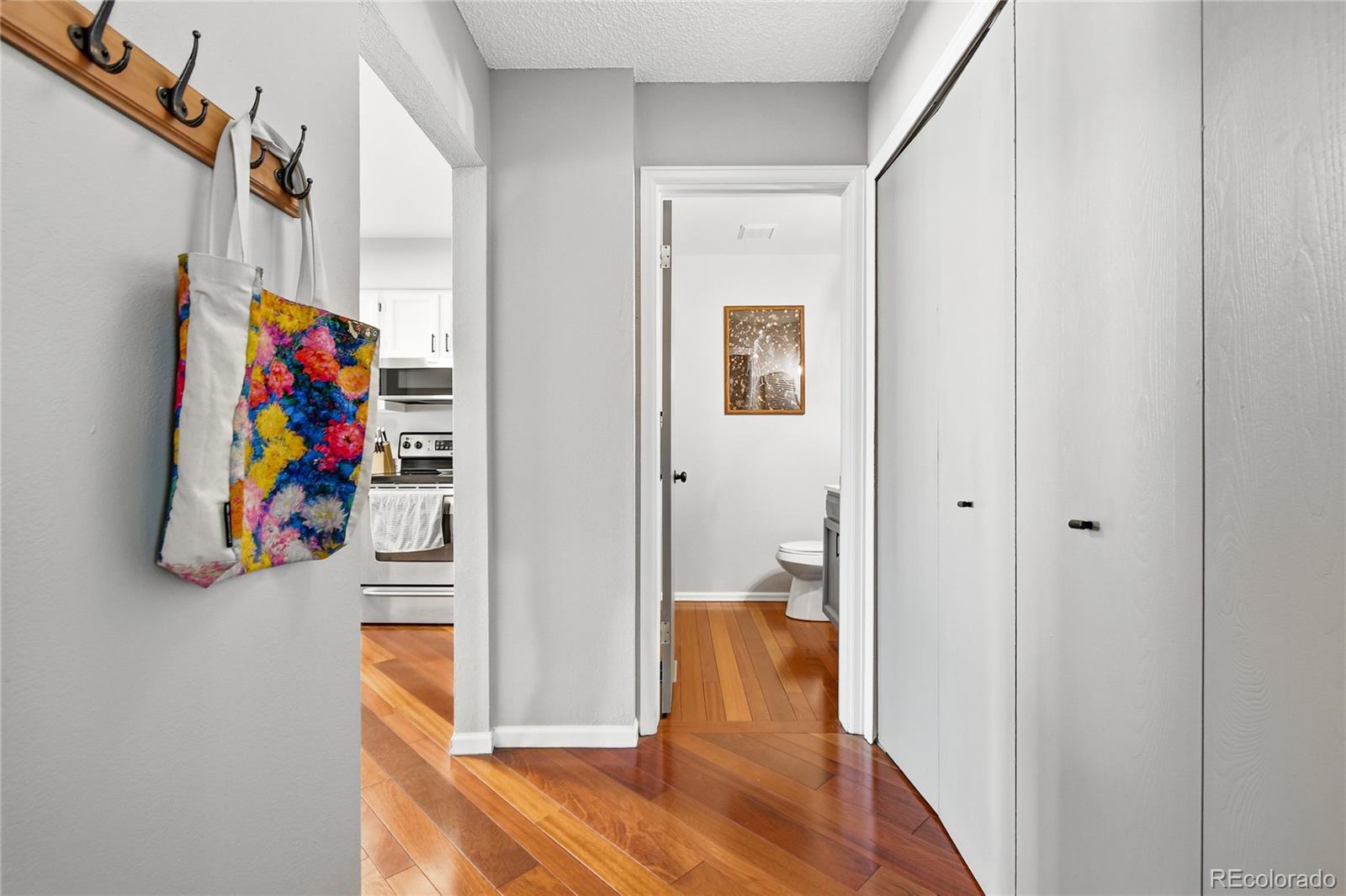 MLS Image #22 for 8077 s vermejo peak  ,littleton, Colorado