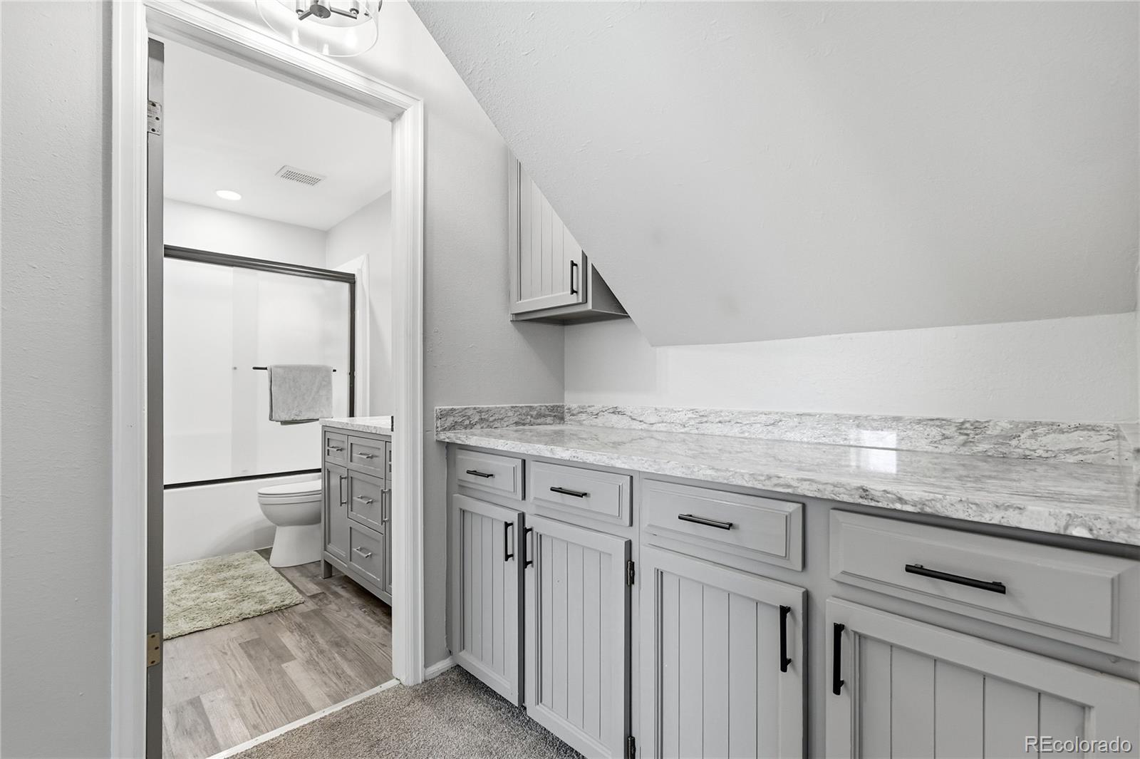 MLS Image #31 for 8077 s vermejo peak  ,littleton, Colorado