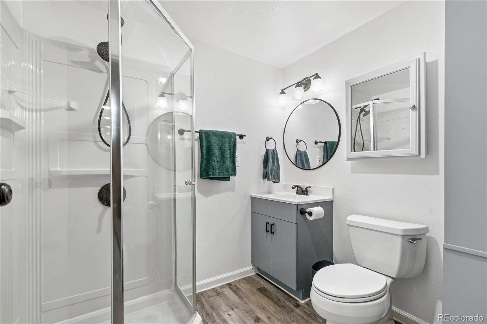 MLS Image #42 for 8077 s vermejo peak  ,littleton, Colorado