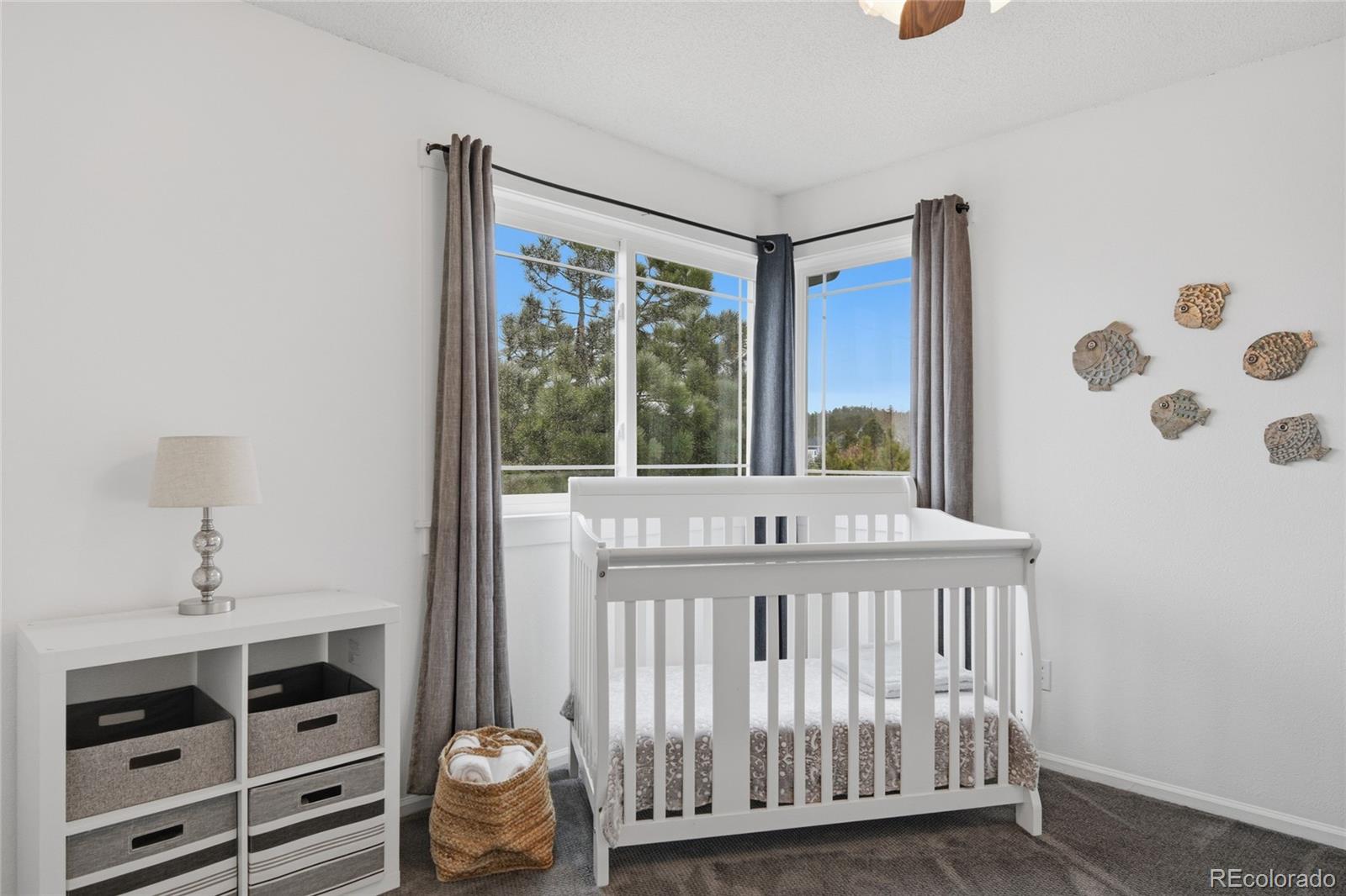 MLS Image #27 for 2331  meadows lane,castle rock, Colorado