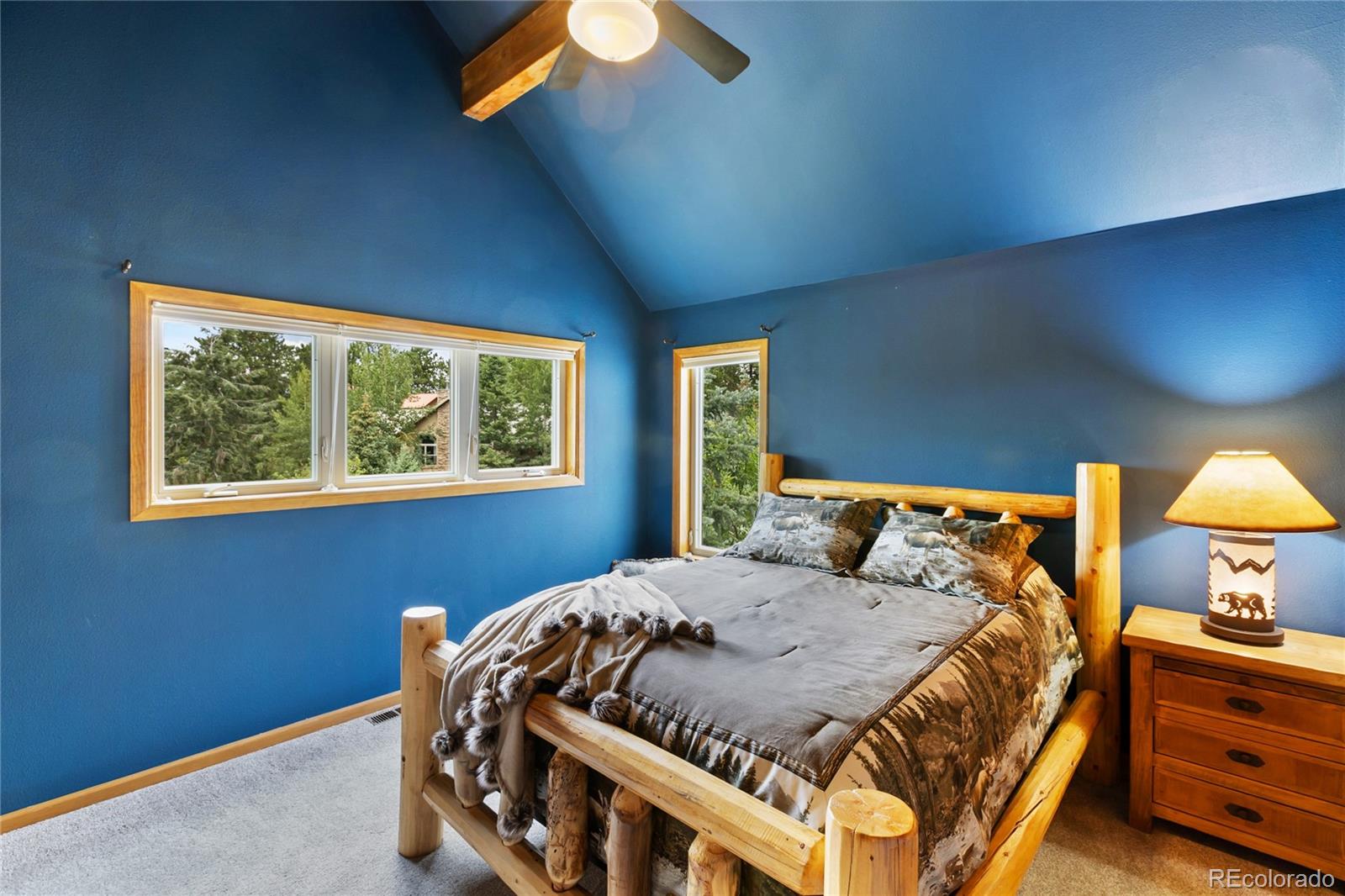 MLS Image #28 for 591  skyline drive,woodland park, Colorado