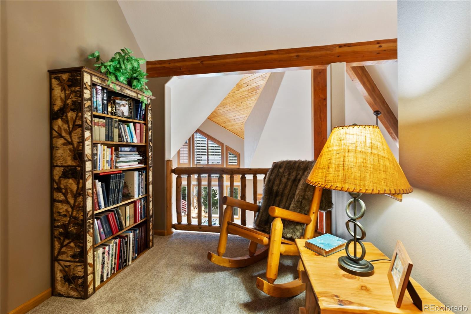 MLS Image #31 for 591  skyline drive,woodland park, Colorado