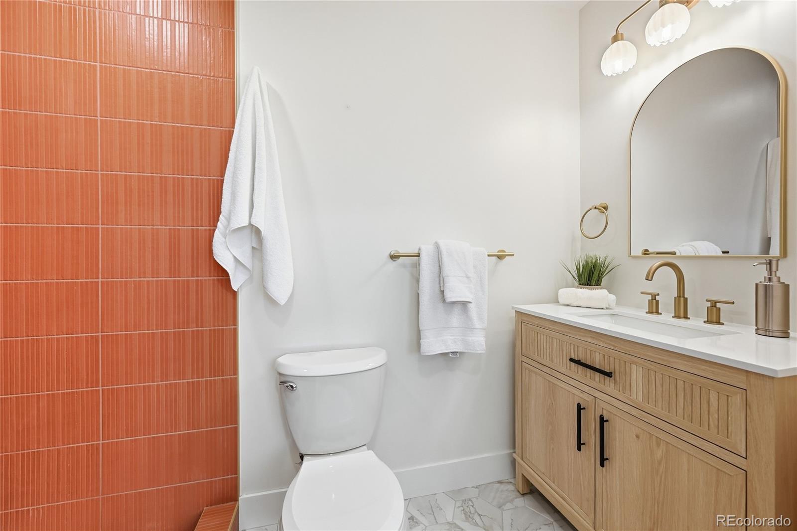 MLS Image #21 for 4580  zuni street,denver, Colorado