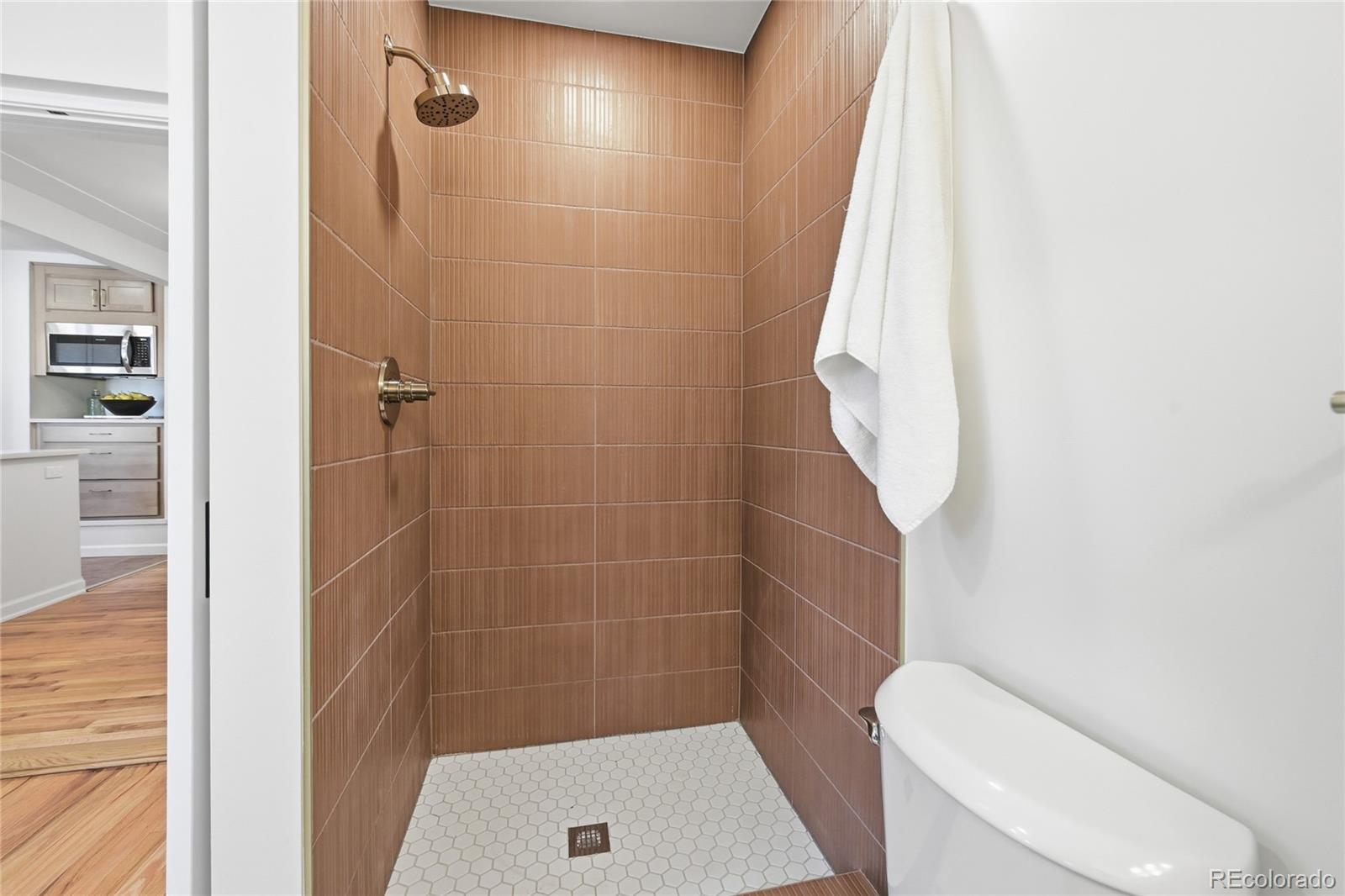 MLS Image #22 for 4580  zuni street,denver, Colorado