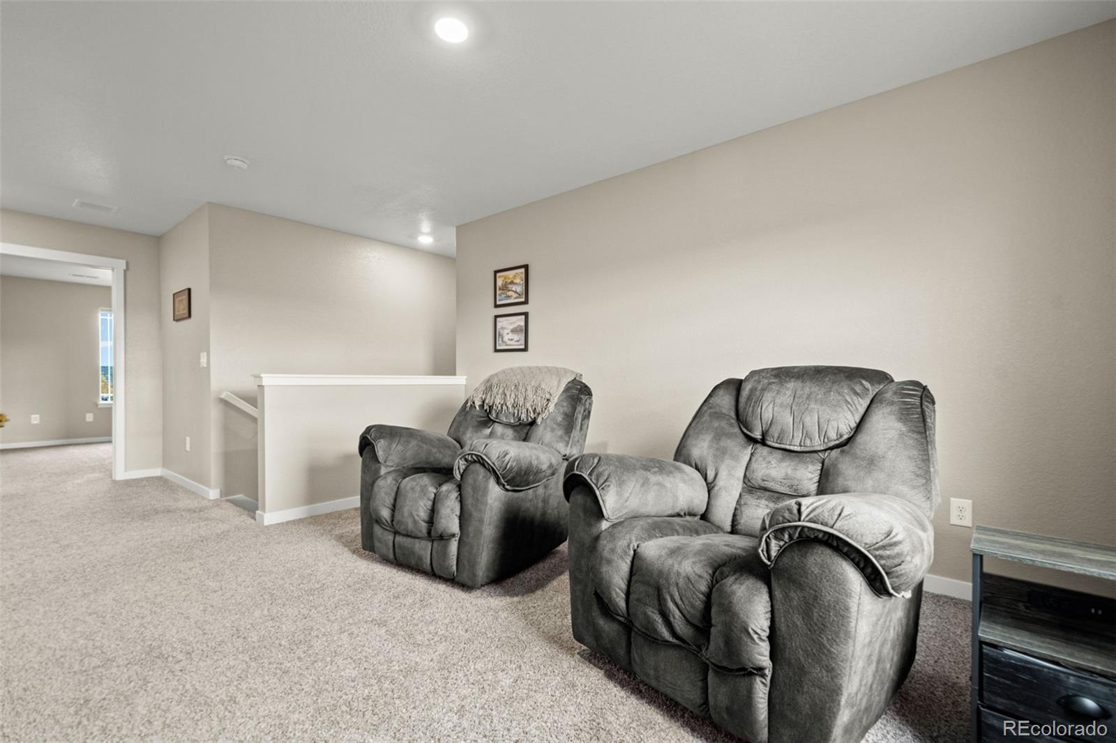 MLS Image #21 for 14075  scarlet sage street,parker, Colorado