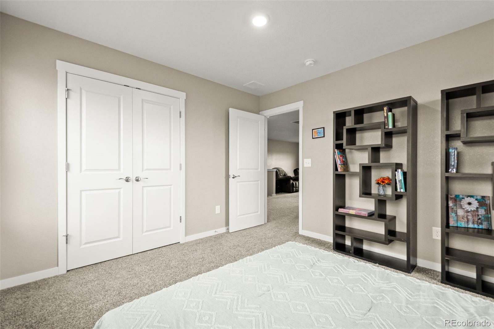 MLS Image #27 for 14075  scarlet sage street,parker, Colorado