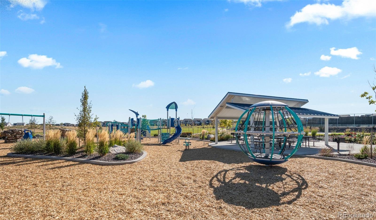 MLS Image #42 for 14075  scarlet sage street,parker, Colorado