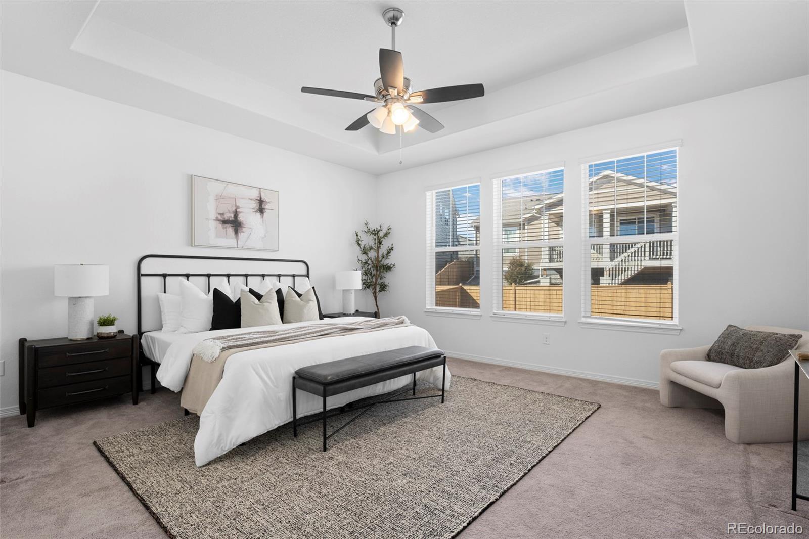 MLS Image #15 for 8741  ginkgo loop,parker, Colorado