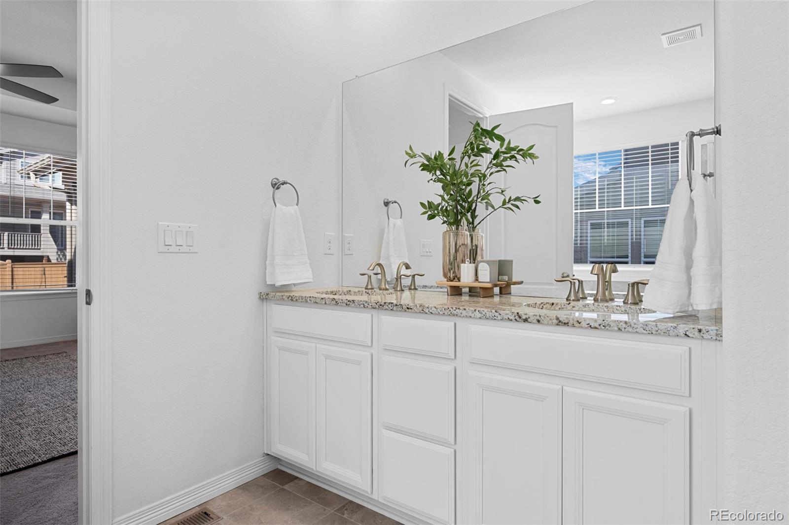 MLS Image #19 for 8741  ginkgo loop,parker, Colorado