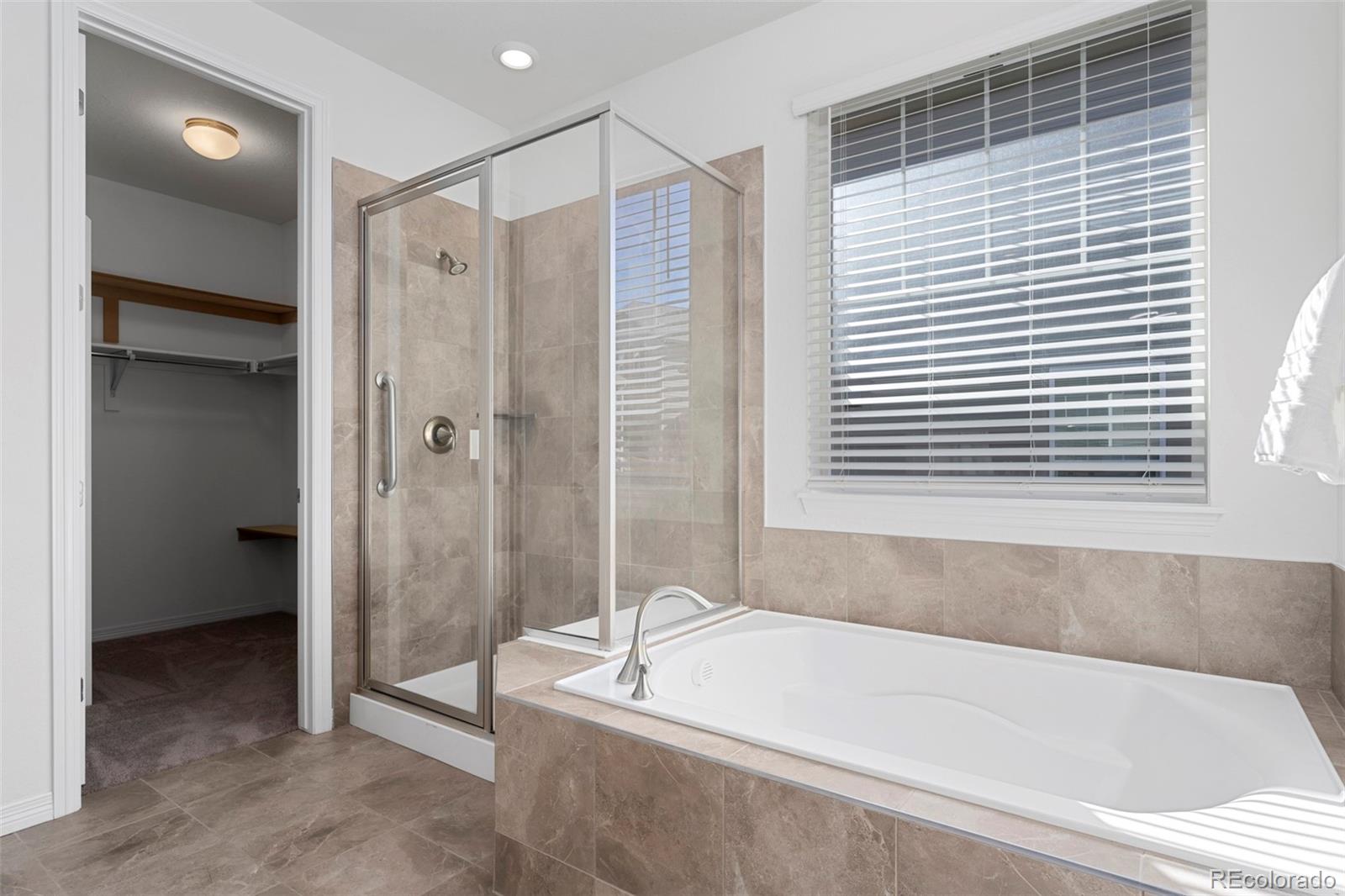 MLS Image #20 for 8741  ginkgo loop,parker, Colorado