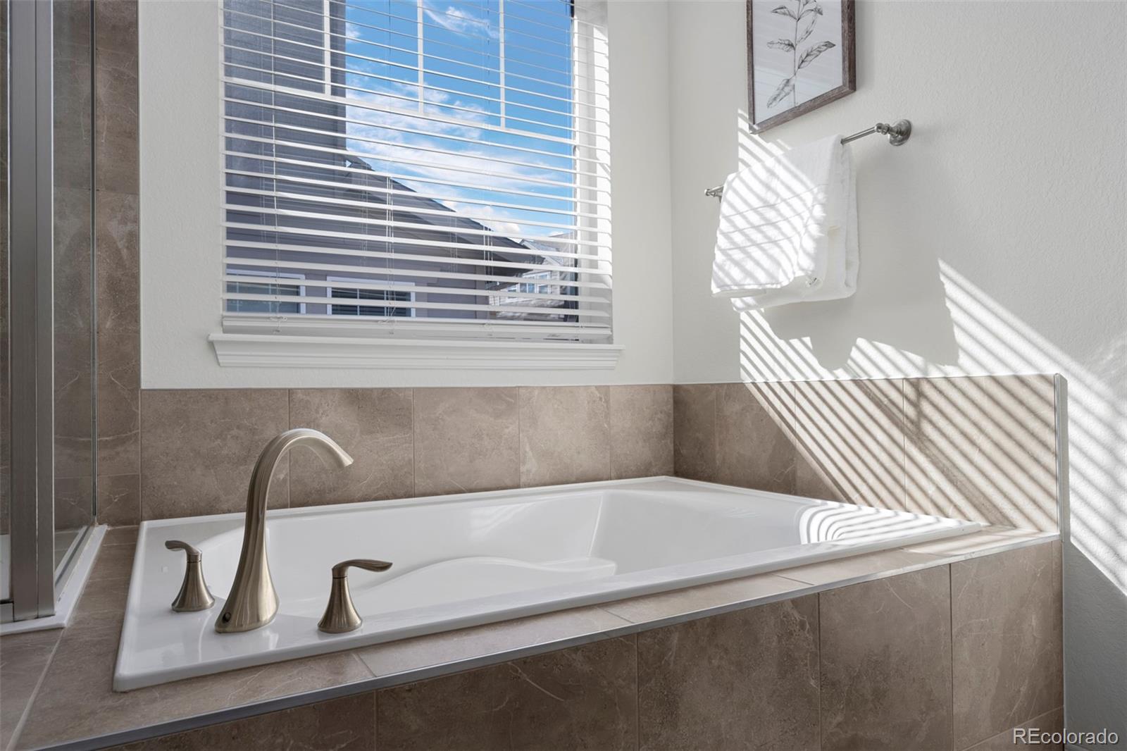 MLS Image #21 for 8741  ginkgo loop,parker, Colorado