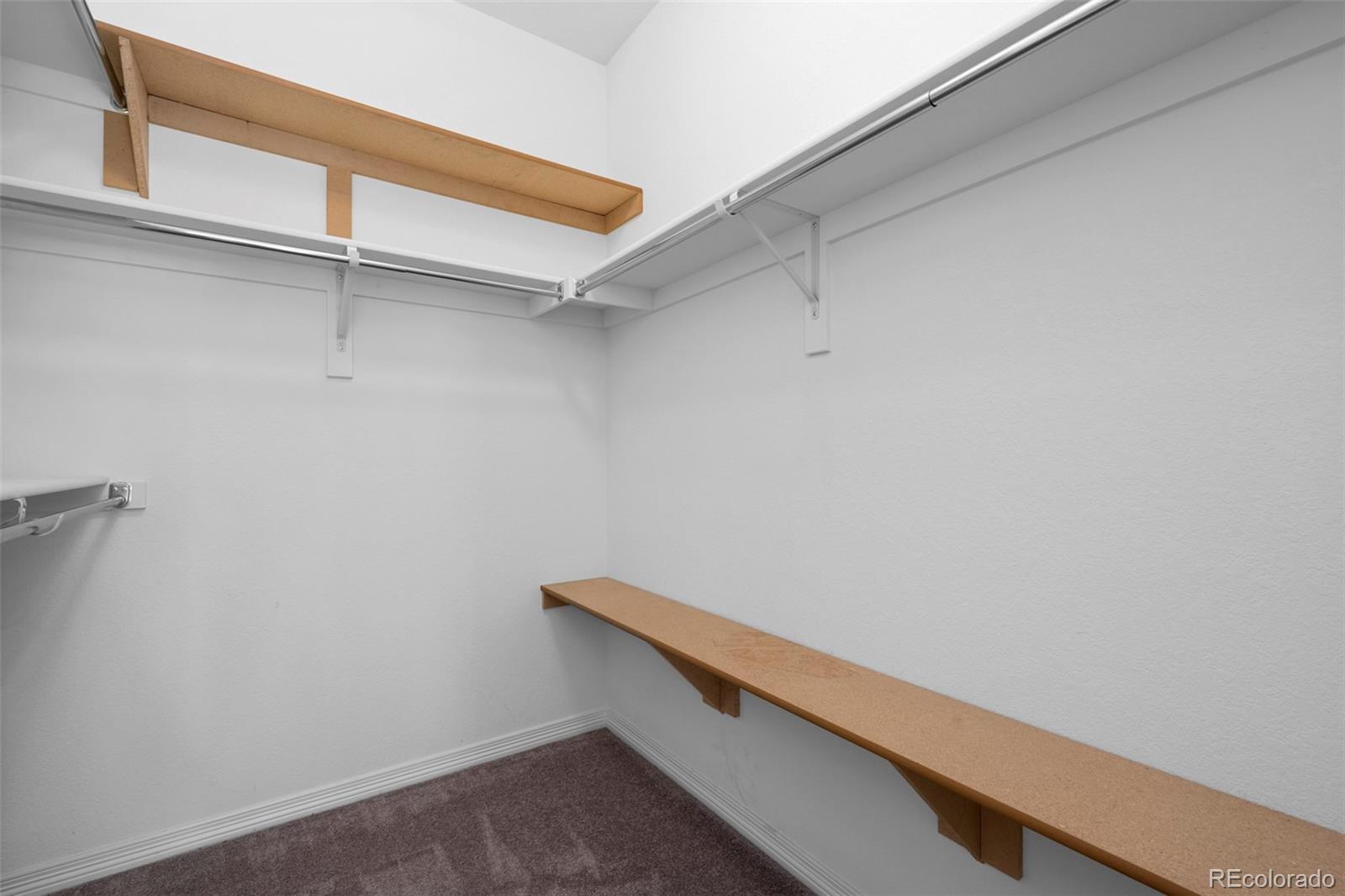 MLS Image #22 for 8741  ginkgo loop,parker, Colorado