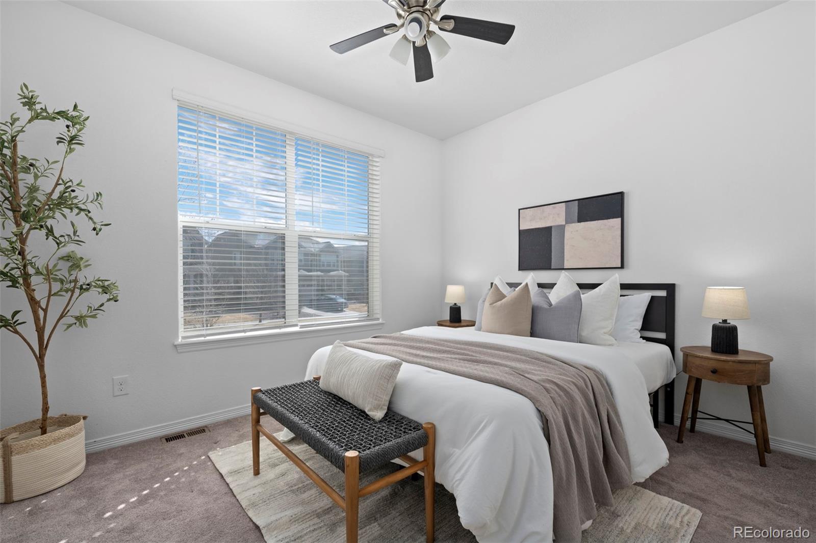 MLS Image #23 for 8741  ginkgo loop,parker, Colorado