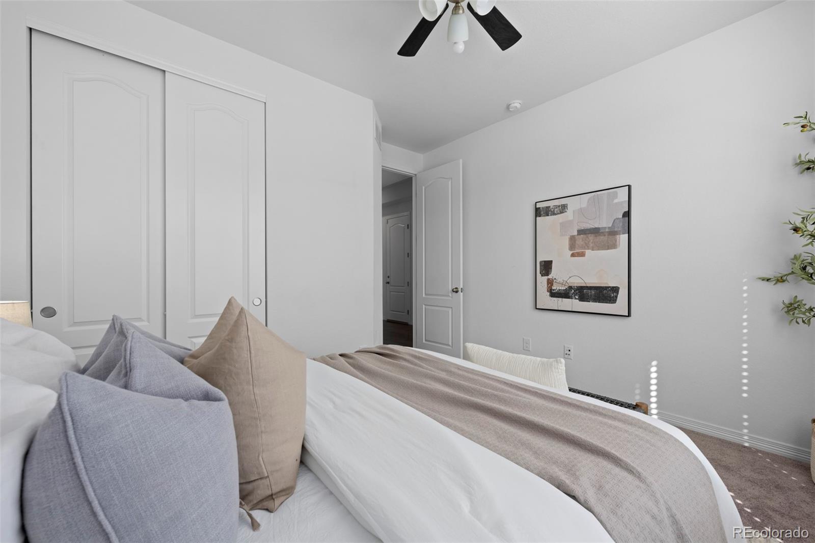 MLS Image #24 for 8741  ginkgo loop,parker, Colorado