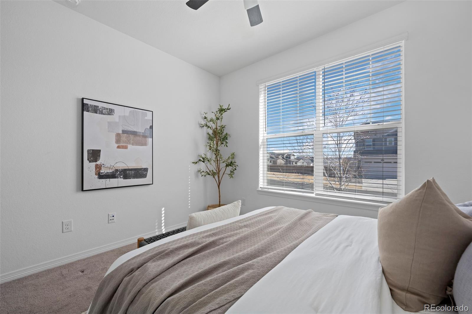 MLS Image #25 for 8741  ginkgo loop,parker, Colorado