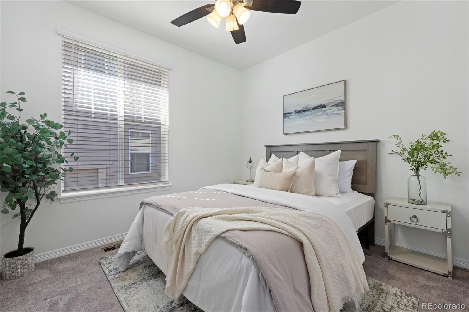 MLS Image #27 for 8741  ginkgo loop,parker, Colorado
