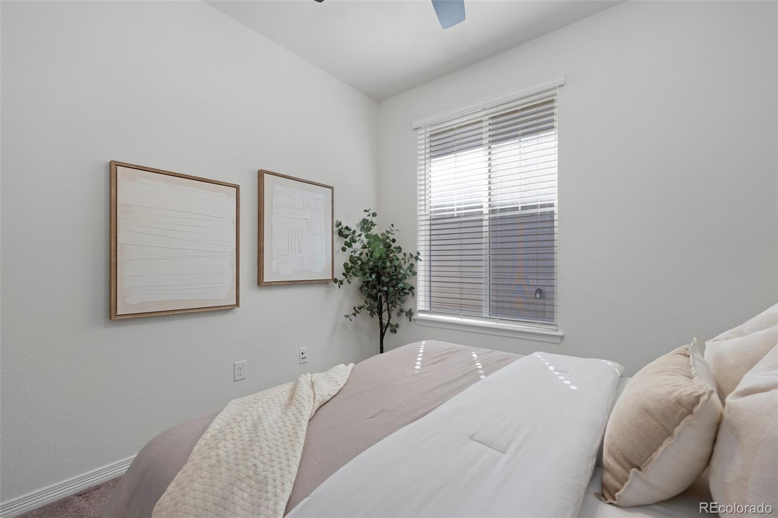 MLS Image #29 for 8741  ginkgo loop,parker, Colorado