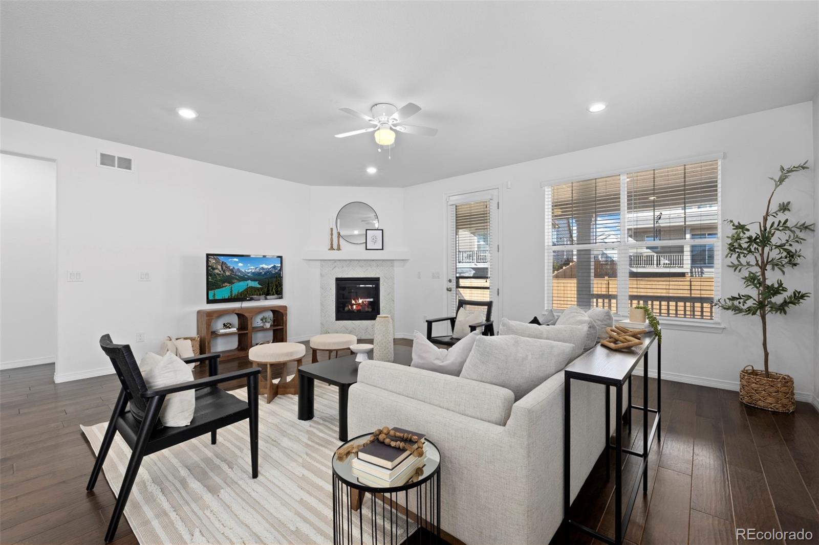 MLS Image #6 for 8741  ginkgo loop,parker, Colorado