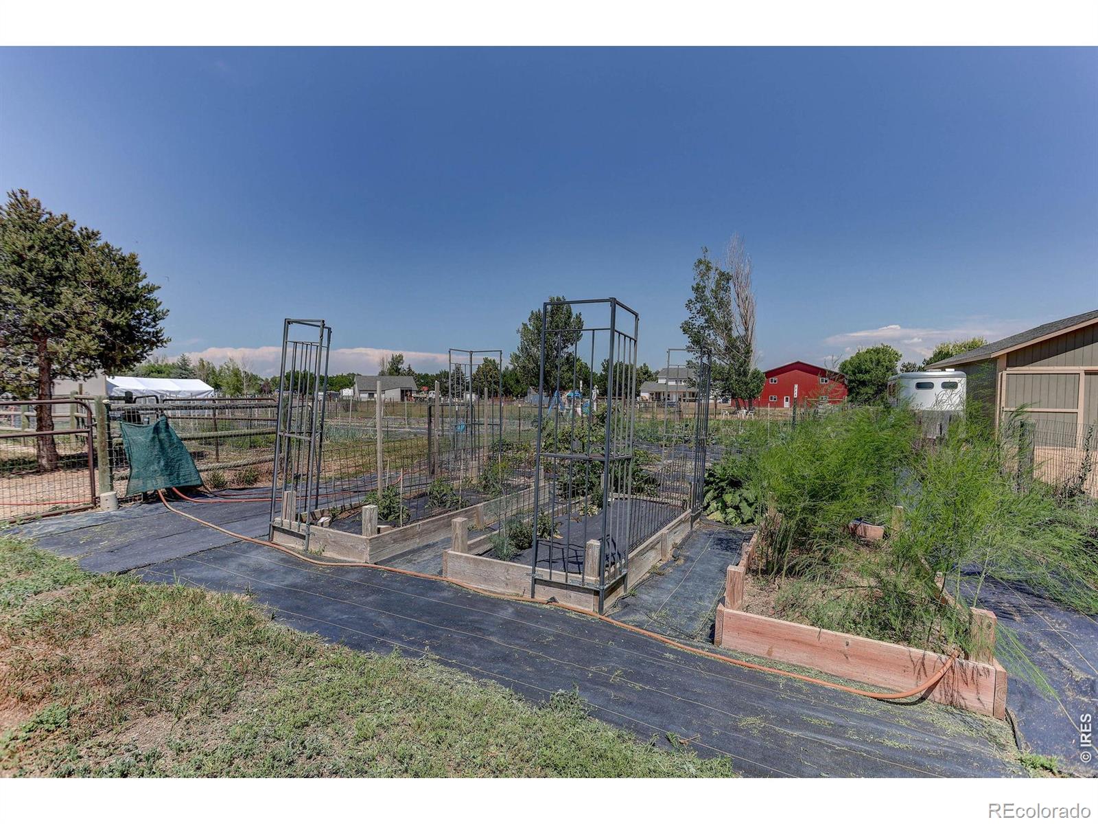 MLS Image #42 for 14804  county road 7 ,mead, Colorado