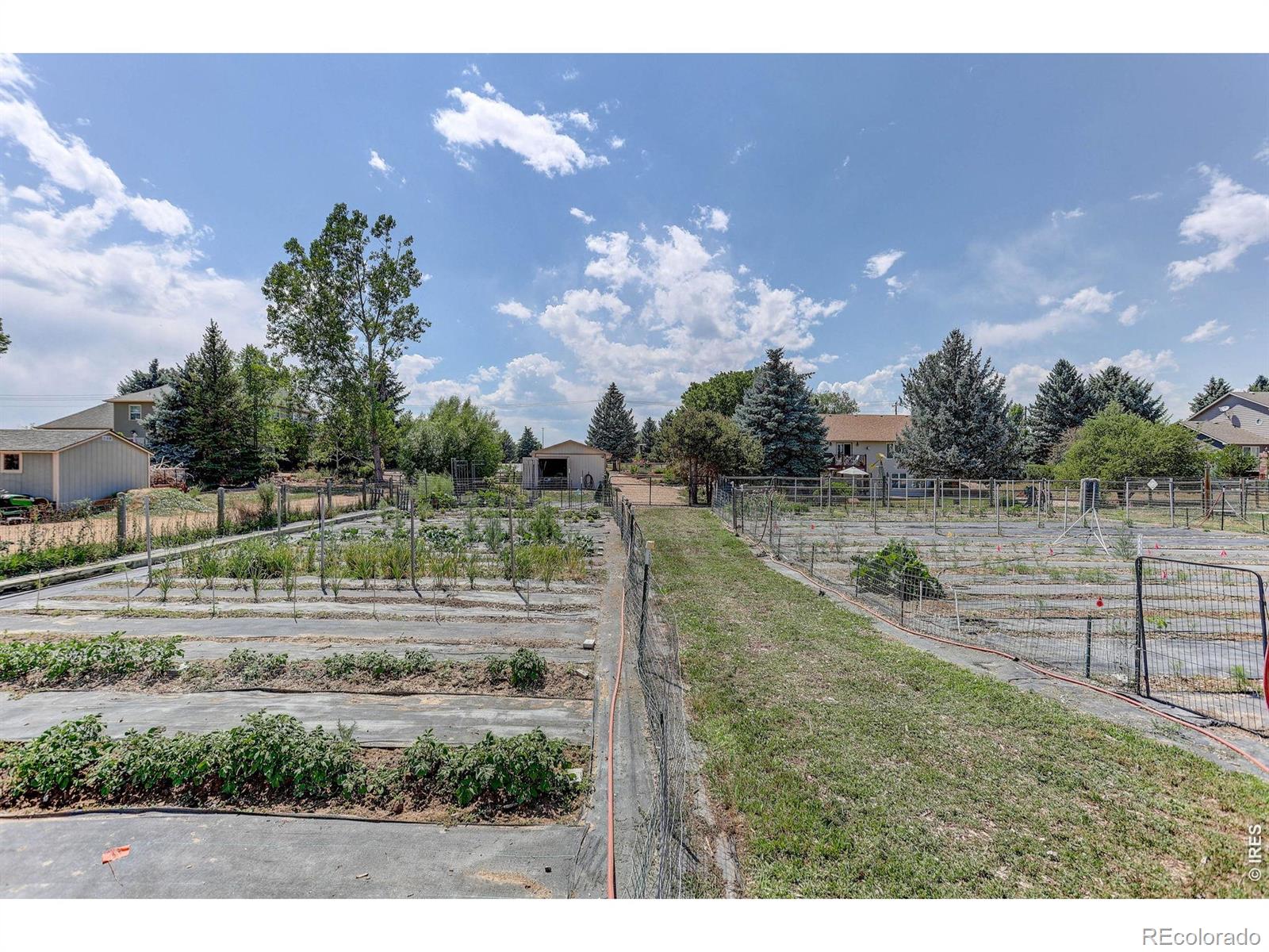 MLS Image #44 for 14804  county road 7 ,mead, Colorado
