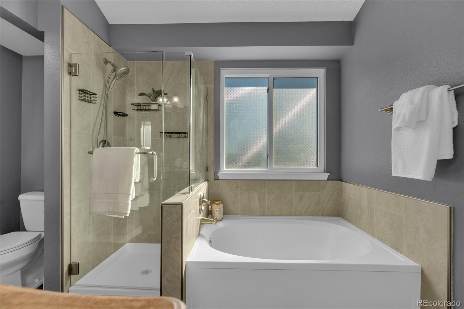 MLS Image #22 for 10814  shaw court,parker, Colorado