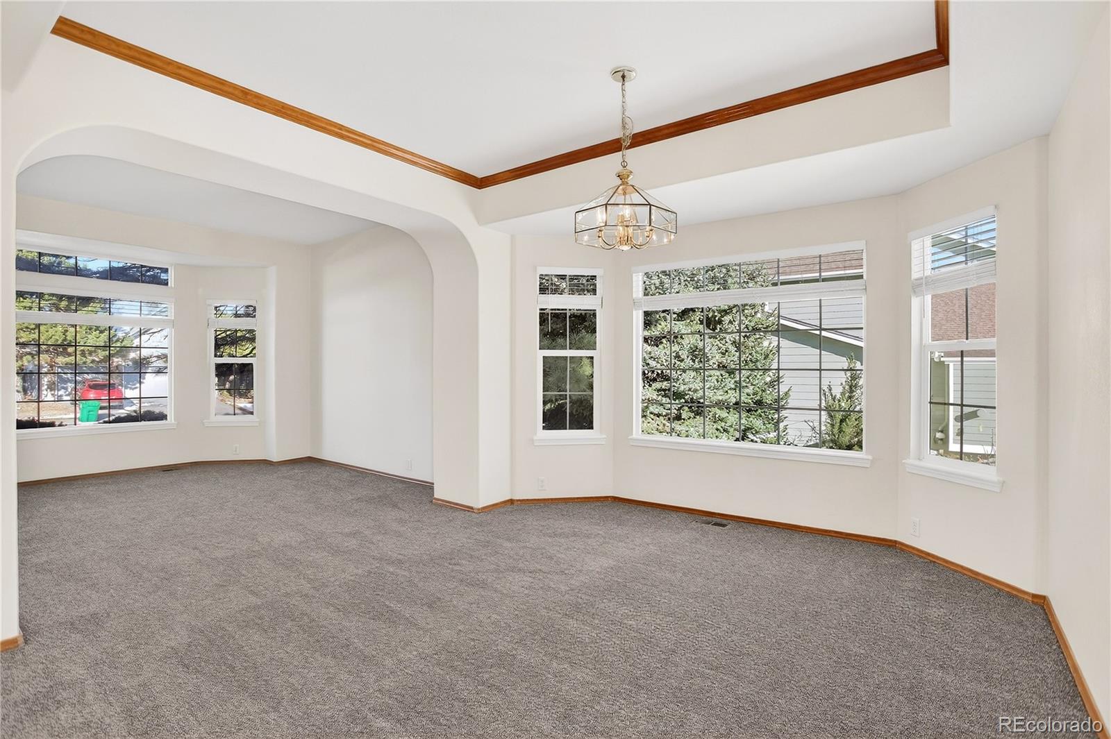 MLS Image #10 for 4830  bluesky drive,castle rock, Colorado